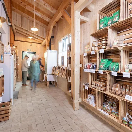 In Grundlsee With Sauna Holiday home