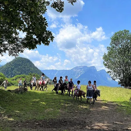 In Grundlsee With Sauna Holiday home
